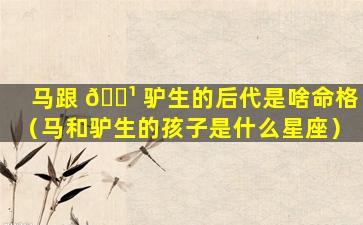 马跟 🌹 驴生的后代是啥命格（马和驴生的孩子是什么星座）